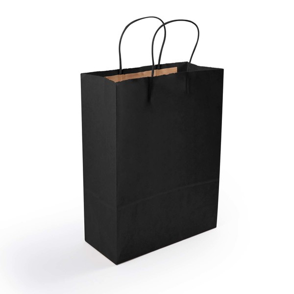 Express Paper Bag Medium - Logo Line Promotional Products